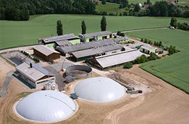 Reinsdorfer Agrargenossenschaft